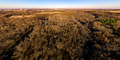 Cannon River Trout Lily