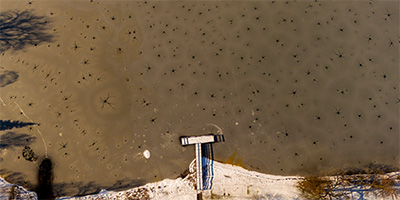 Invasion of the Giant Ice Spiders