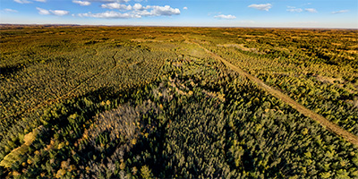 Paul Wellstone Crash Site