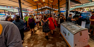 Saint Paul Farmer's Market #4