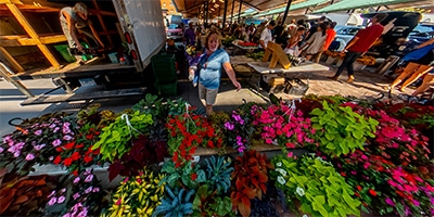 Saint Paul Farmer's Market #6