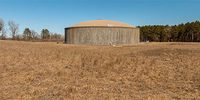 Reservoir Woods Trail 3