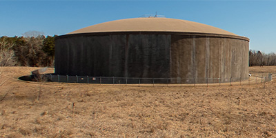 Reservoir Woods Trail 4