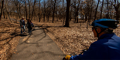 Reservoir Woods Trail 6