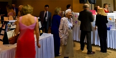 Minnesota Make A Wish Silent Auction