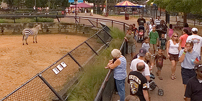 Giraffe and zebra at the Como Park Zoo African Hooved Animals exhibit