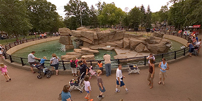 Seal Island, Sparkys Amphitheater, and Food Court