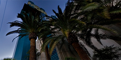 On the Las Vegas Strip at the MGM Grand Hotel and Casino