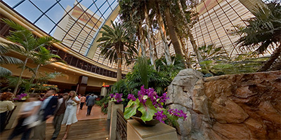 The Mirage on the Las Vegas Strip