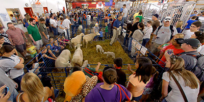 Miracle Of Birth Center