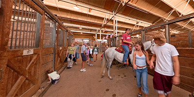 Horse Barn