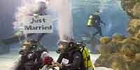 Valentine's Day Underwater Wedding at Mall of America