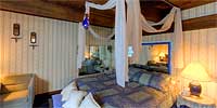 The Blue Room
