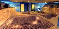 Northern Lights Tub