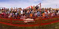 Pig Racing at Sever's Corn Maze
